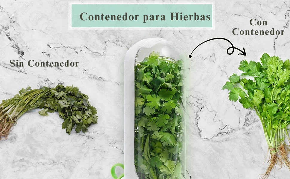 Contenedor para Hierbas Frescas para Nevera