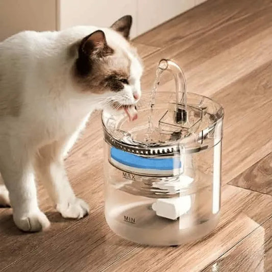 Dispensador de Agua para Gatos