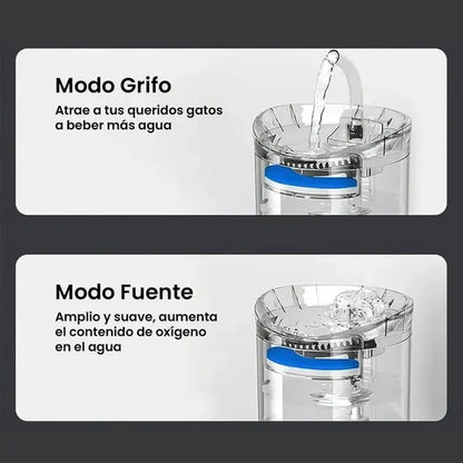 Dispensador de Agua para Gatos